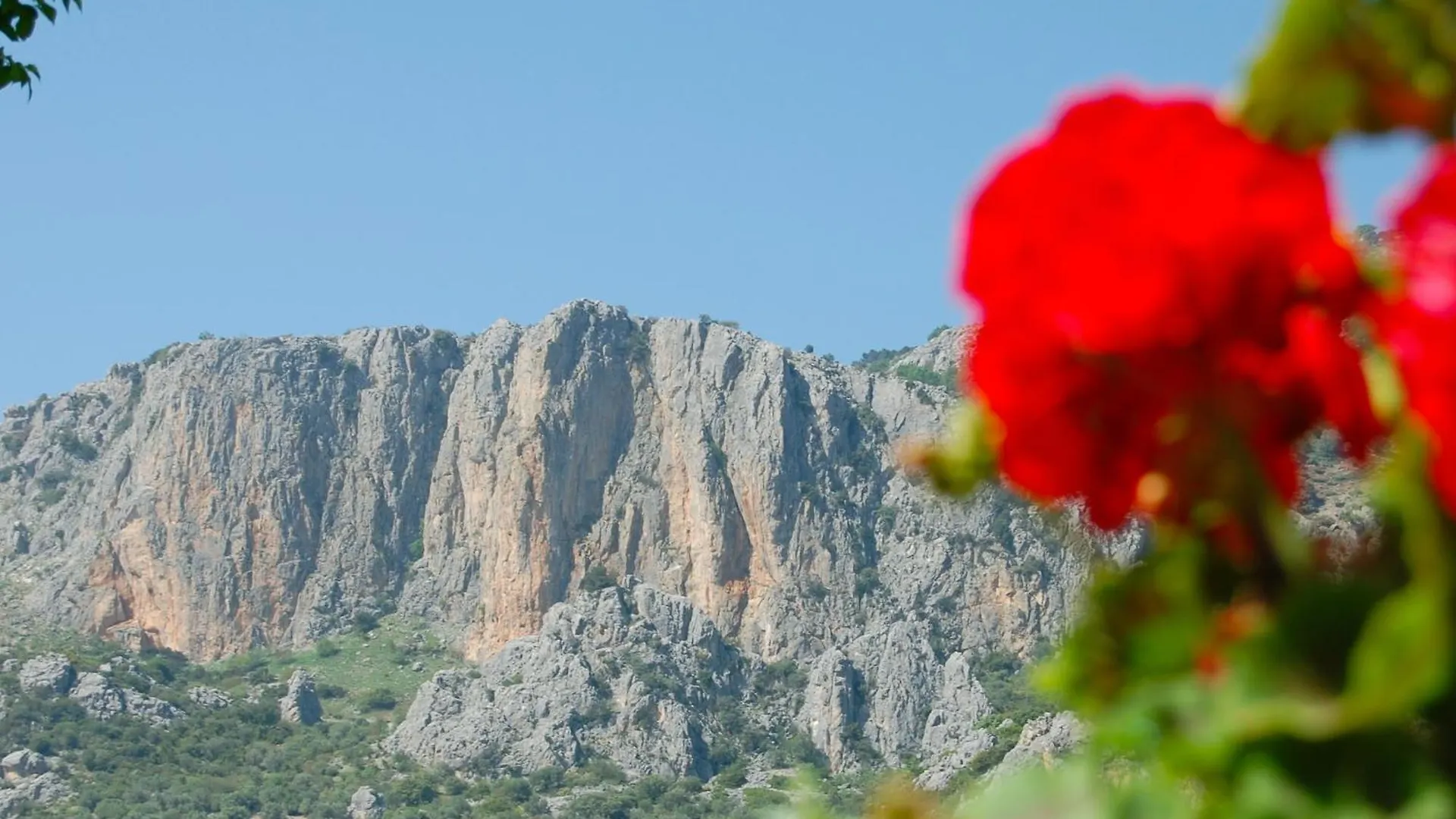 Cortijo Pulgarin Bajo Villa Alfarnatejo
