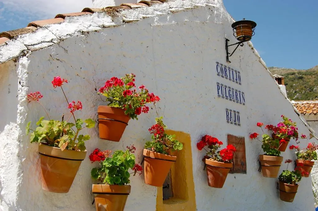 Cortijo Pulgarin Bajo Villa Alfarnatejo Spain